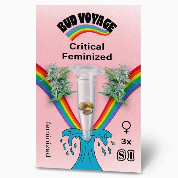 Bud Voyage Critical Feminisiert – Stilvolle Verpackung mit modernem Design & klarer Produktkennzeichnung.