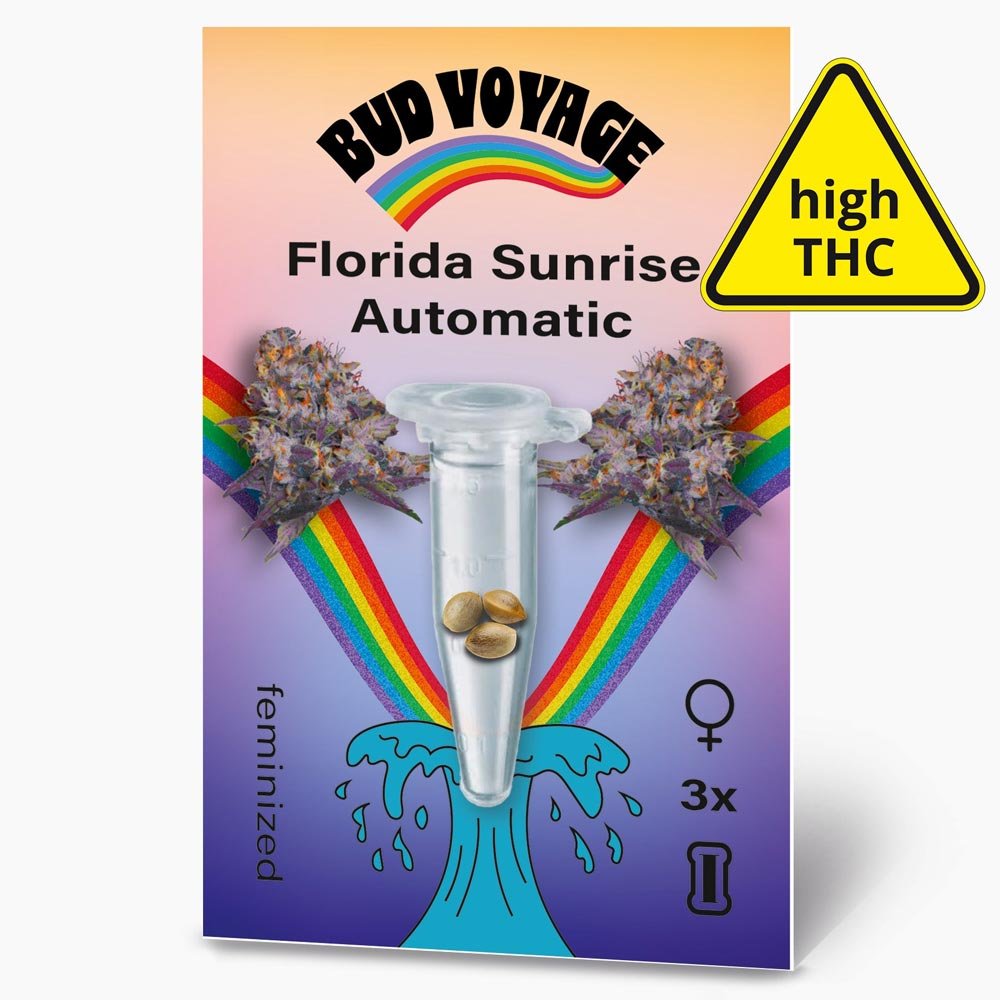 Bud Voyage Florida Sunrise Automatic Verpackungsvorderseite mit 3 Samen