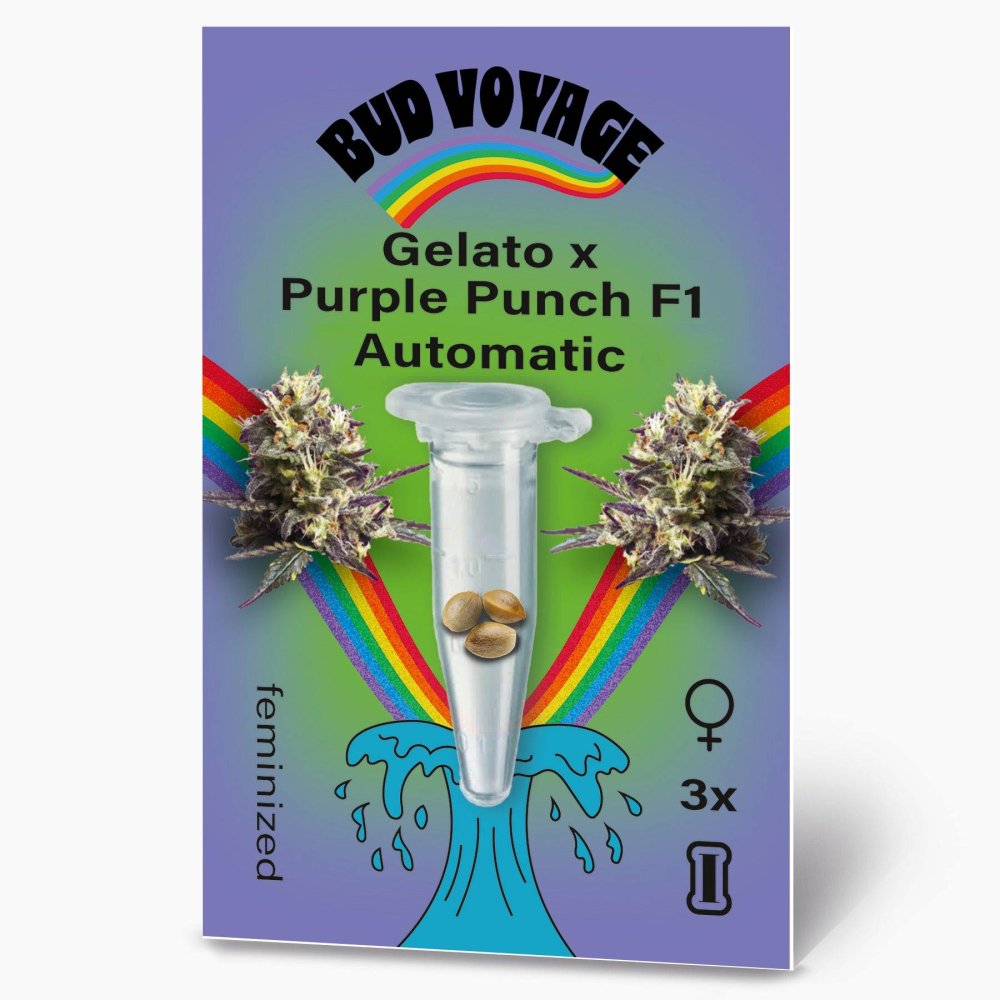 Bud Voyage Gelato x Purple Punch F1 Automatic Verpackung Vorderseite mit 3 Samen