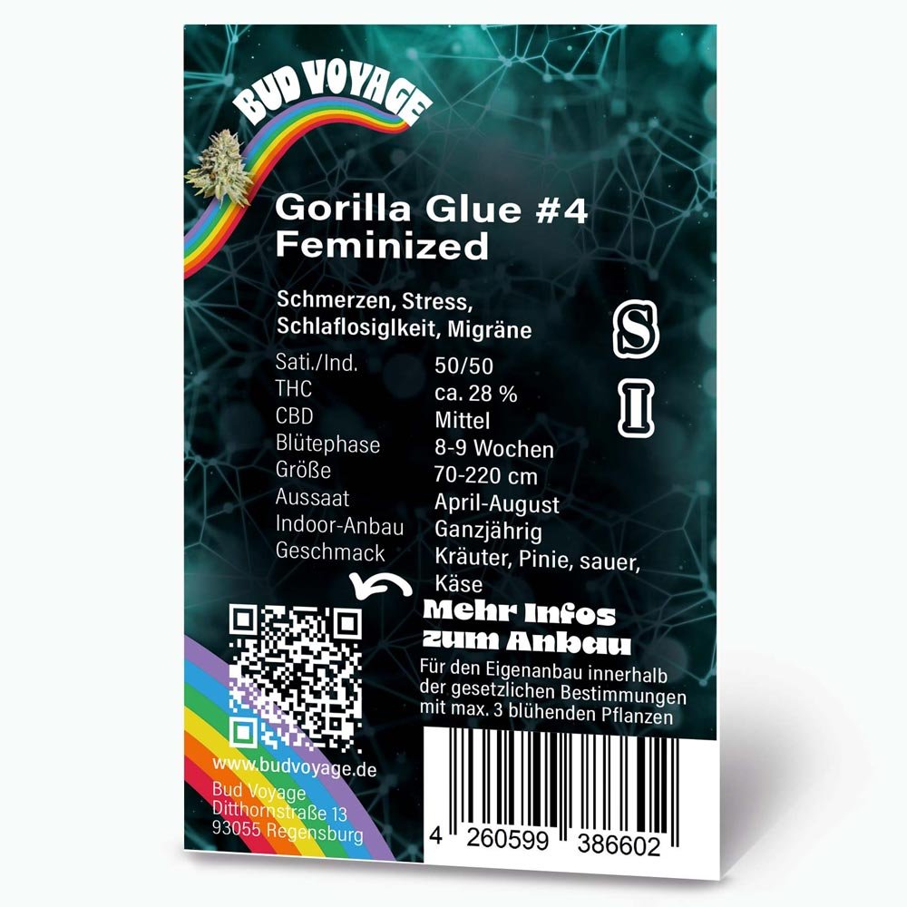 Bud Voyage Gorilla Glue #4 Feminisiert