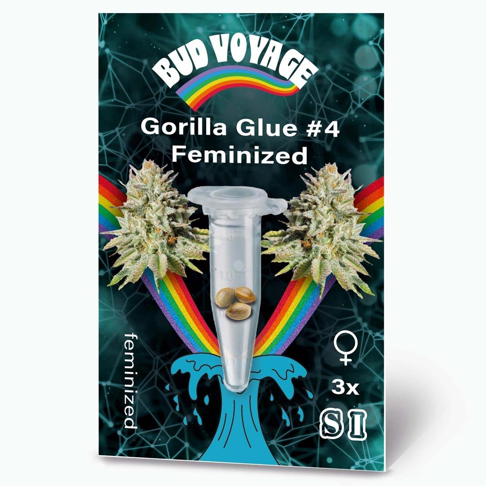 Bud Voyage Gorilla Glue #4 Feminisiert