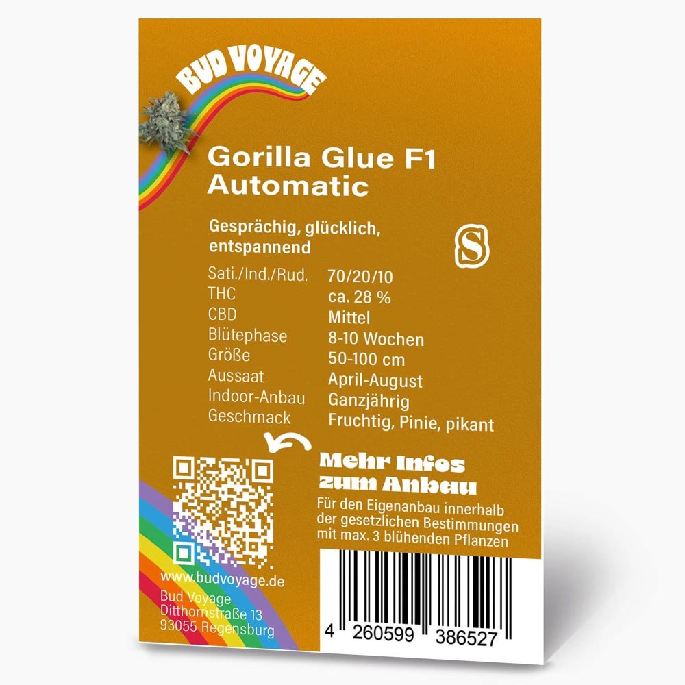 Rückseite der Gorilla Glue F1 Automatic Samenpackung von Bud Voyage – Informationen zur Sorte, Blütezeit, Größe und mehr.