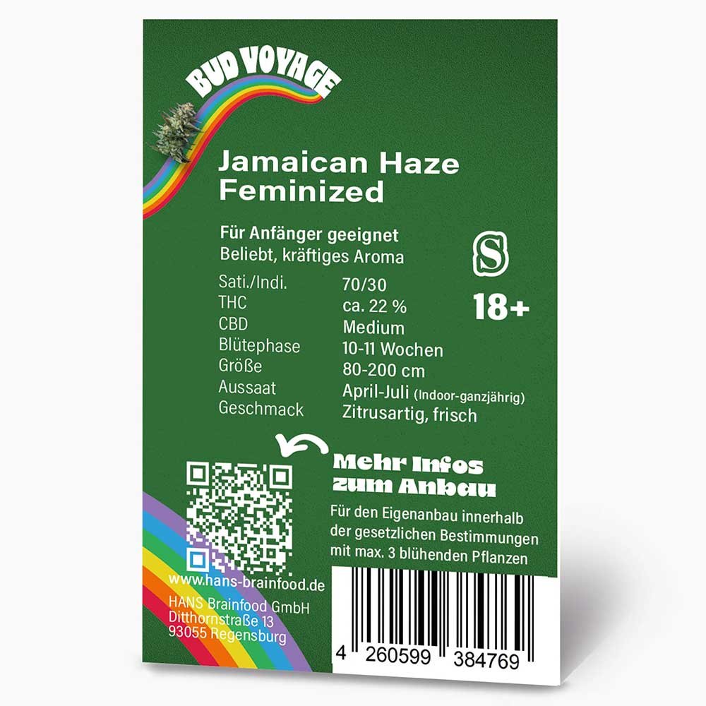 Rückseite der Bud Voyage Jamaican Haze Feminisiert Verpackung – Wichtige Informationen zu Blütezeit, Pflanzengröße, THC-Gehalt & Ertrag auf einen Blick.