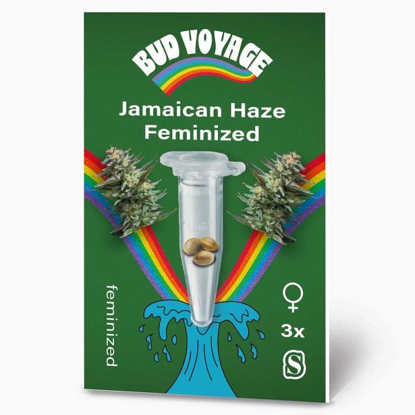 Bud Voyage Jamaican Haze Feminisiert – Stilvolle Verpackung mit modernem Design & klarer Produktkennzeichnung.