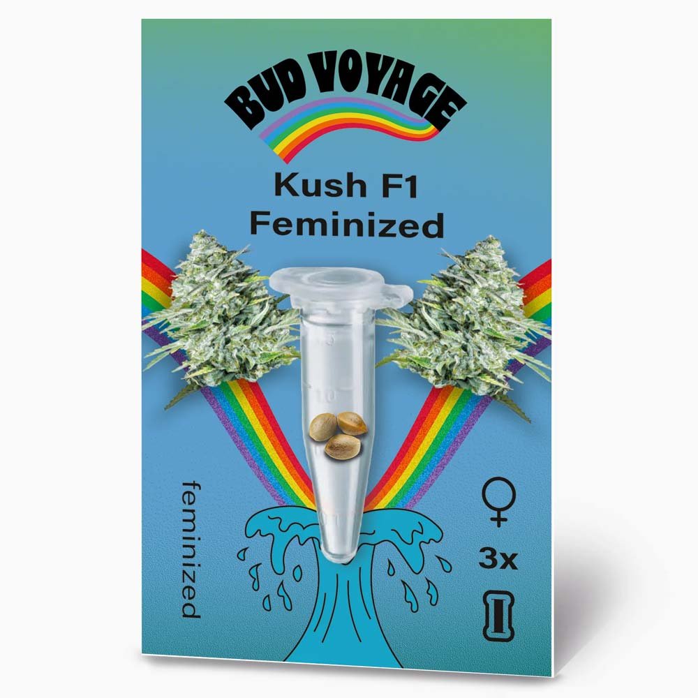 Bud Voyage Kush F1 Feminisiert Verpackung Vorderseite mit 3 Samen