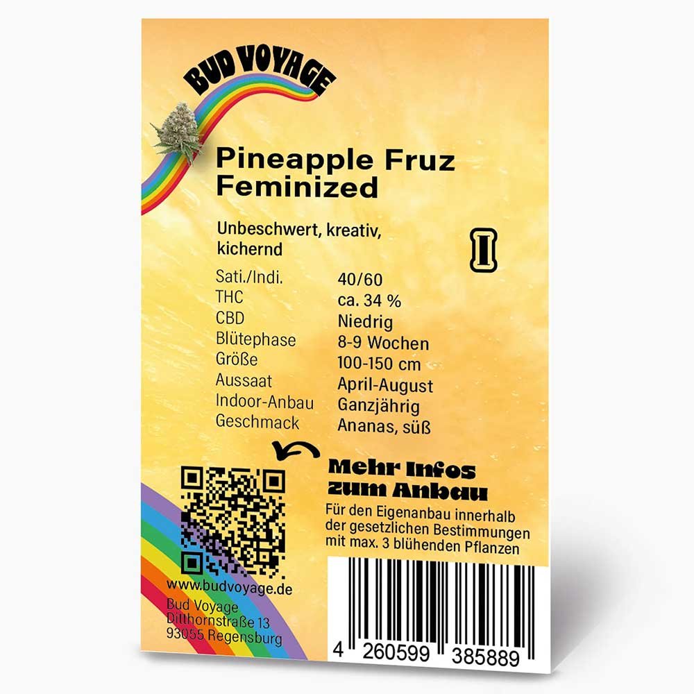 Rückseite der BudVoyage Pineapple Fruz Feminisiert Verpackung – Wichtige Informationen zu Blütezeit, Pflanzengröße, THC-Gehalt und Ertrag auf einen Blick.