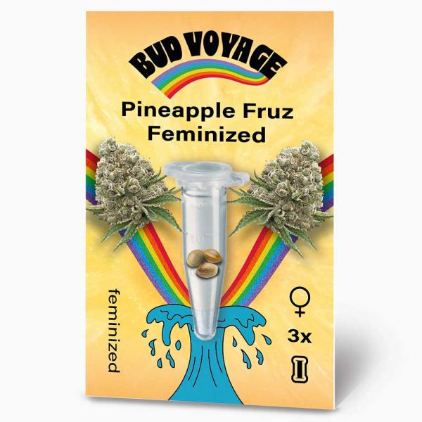 BudVoyage Pineapple Fruz Feminisiert – Stilvolle Verpackung mit modernem Design und klarer Produktkennzeichnung.