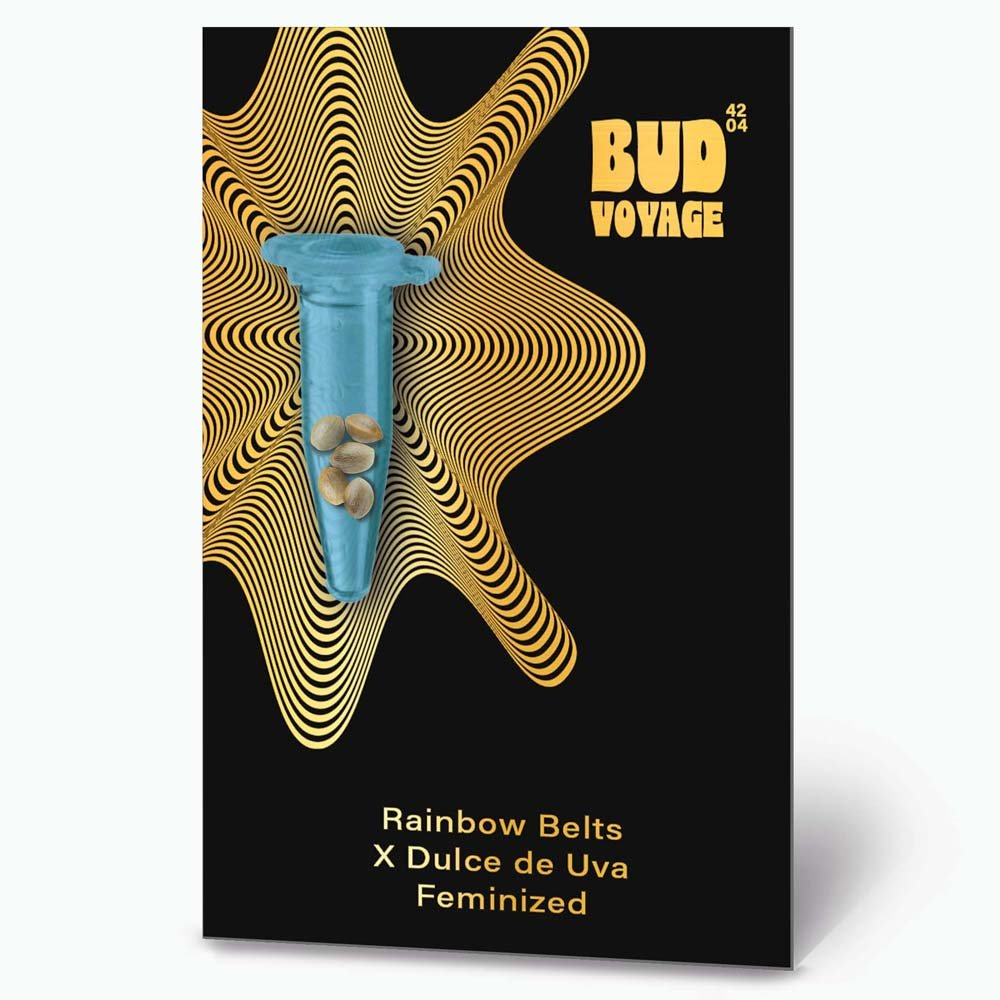 Bud Voyage PREMIUM US Rainbow Belts x Dulce de Uva Verpackungsvorderseite mit 3 Samen