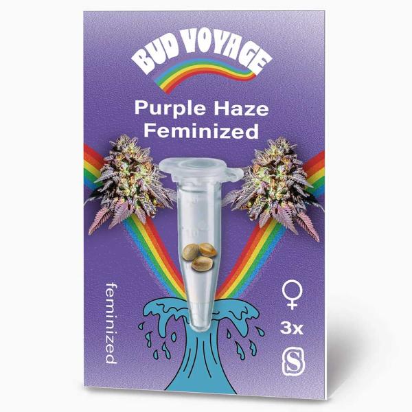 BudVoyage Purple Haze Feminisiert – Stilvolle Verpackung mit modernem Design und klarer Produktkennzeichnung.