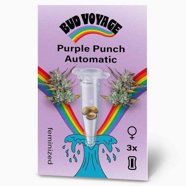 Bud Voyage Purple Punch Automatic – Hochwertige Verpackung mit stilvollem Design und klarer Produktkennzeichnung.