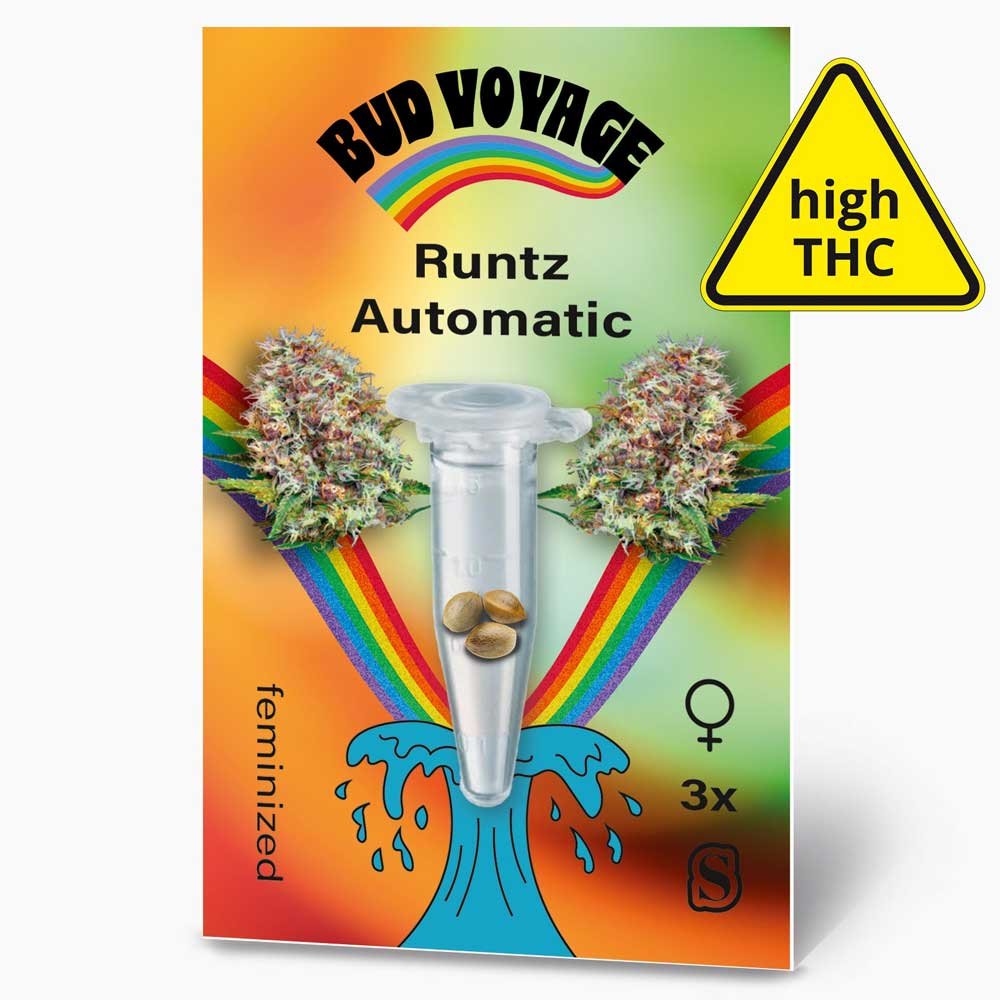 Bud Voyage Runtz Automatic Verpackungsvorderseite mit 3 Samen