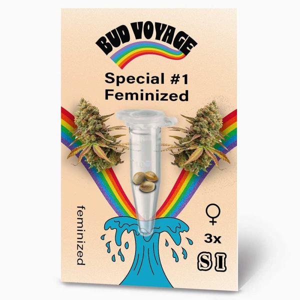 Bud Voyage Special #1 Feminisiert – Stilvolle Verpackung mit modernem Design & klarer Produktkennzeichnung.