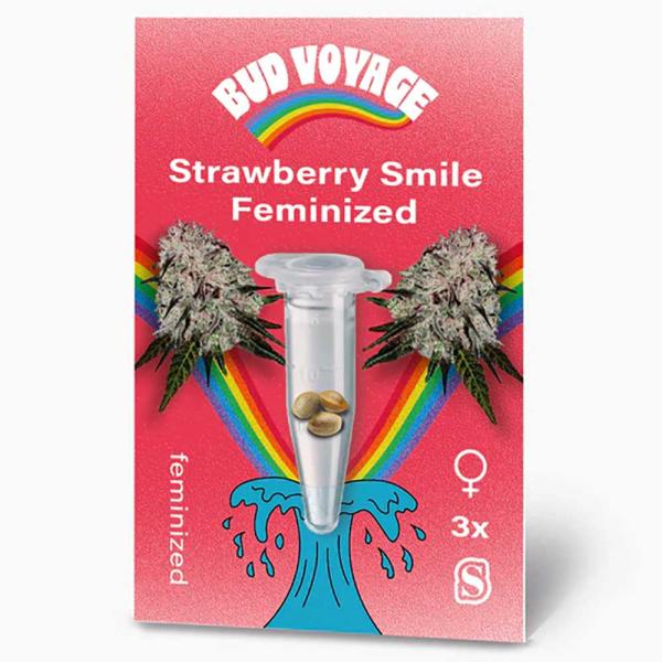 Bud Voyage Strawberry Smile Feminisiert – Verpackungsvorderseite mit stilvollem Design und Sortennamen. Hochwertige Cannabis-Samen mit süßem Erdbeeraroma und ausgewogener Wirkung.