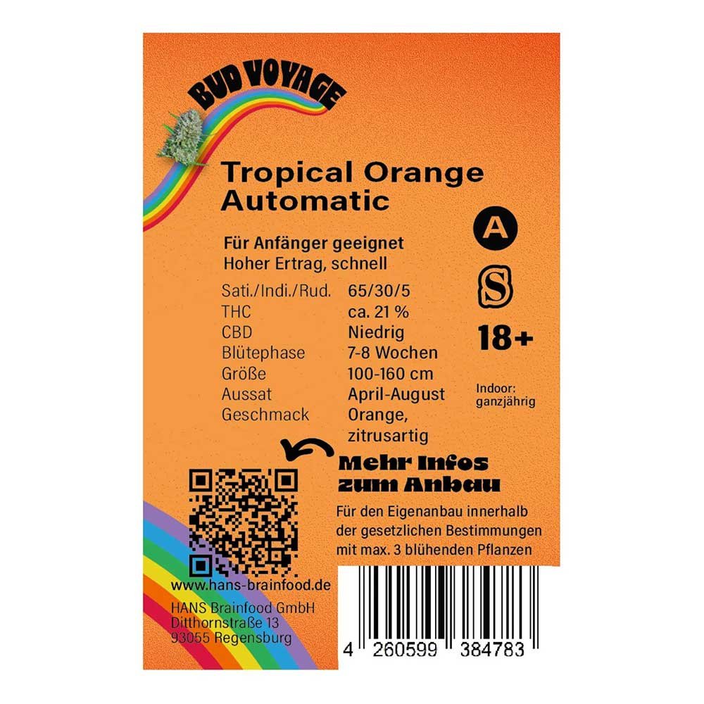Rückseite der BudVoyage Tropical Orange Automatic Verpackung – Wichtige Informationen zu Blütezeit, Pflanzengröße, THC-Gehalt und Ertrag auf einen Blick.