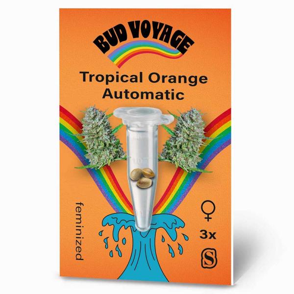 BudVoyage Tropical Orange Automatic – Stilvolle Verpackung mit modernem Design und klarer Produktkennzeichnung.