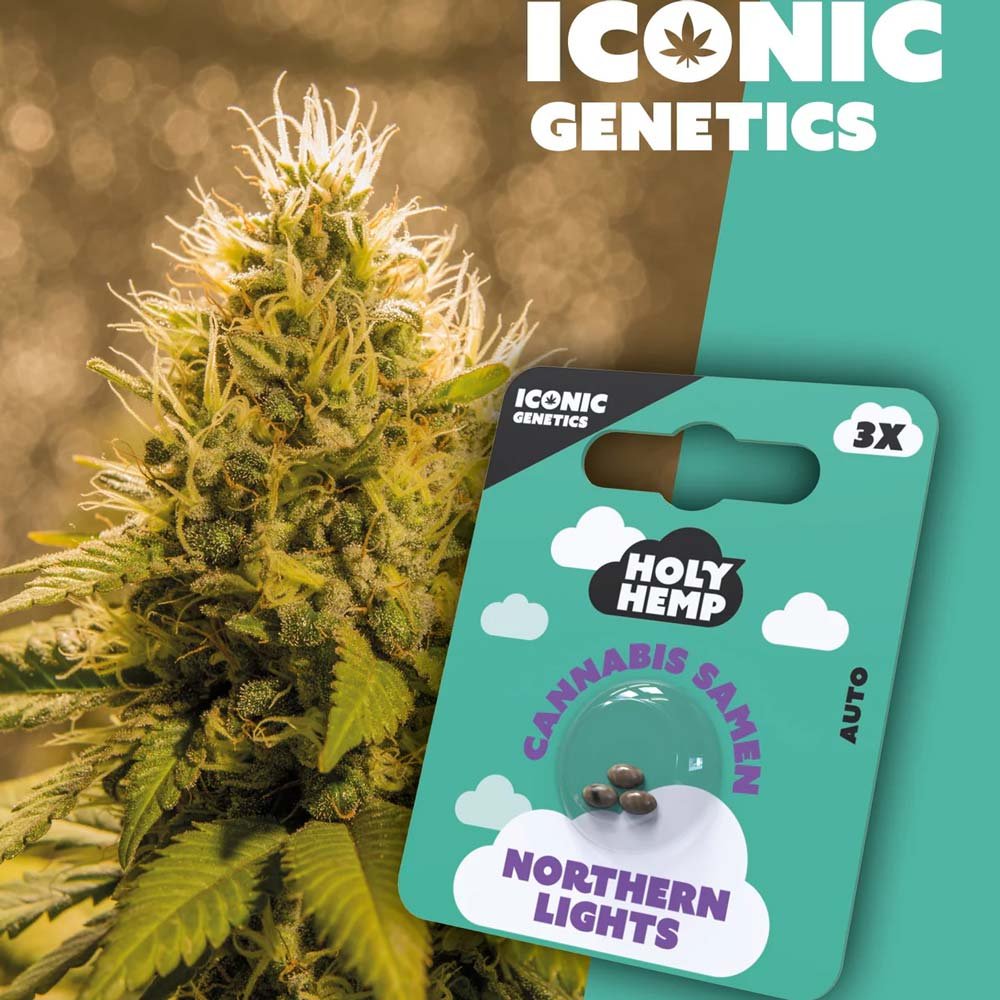 Holy Hemp Northern Lights Automatic Pflanze und Packung