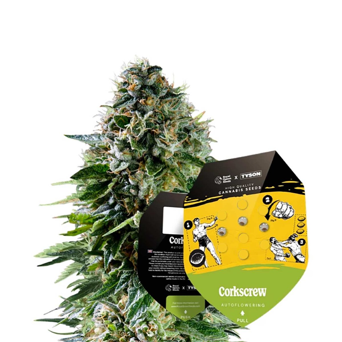 Packung der Corkscrew Auto von Tyson 2.0 Autoflower mit blühender Pflanze im Hintergrund